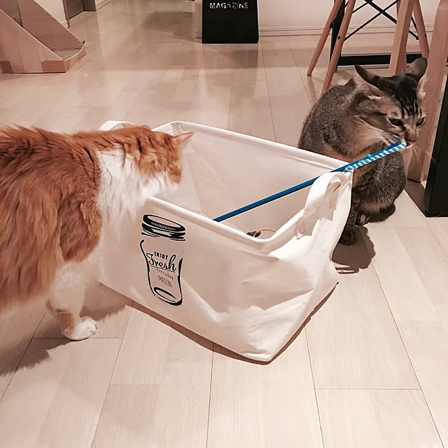 Reikoさんの実例写真