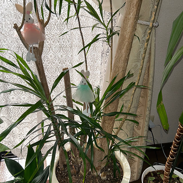 ritsukoさんの部屋