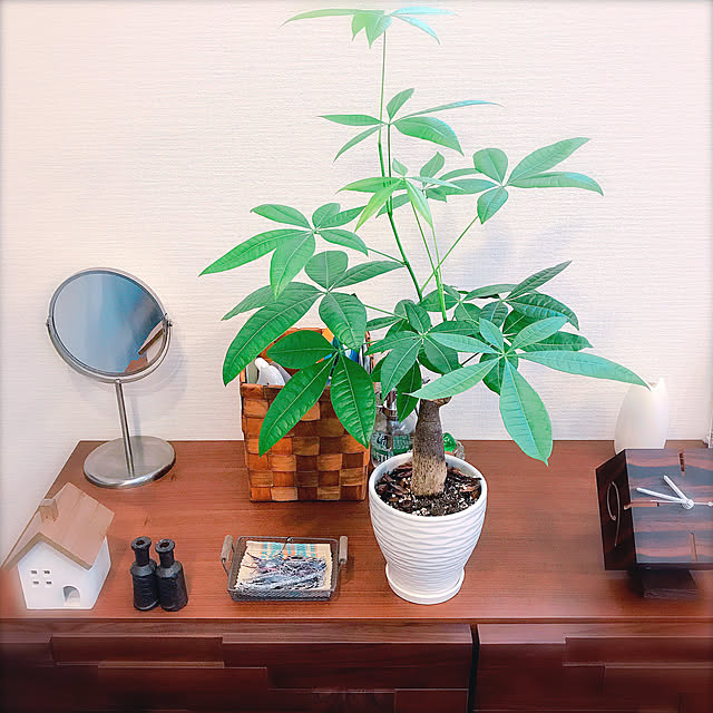 ttf___bさんの実例写真