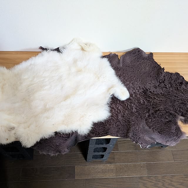 asaさんの実例写真