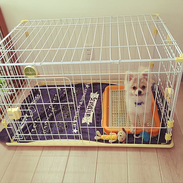 MAKARONさんの実例写真