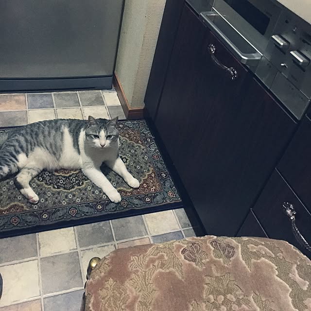 emmyyさんの実例写真