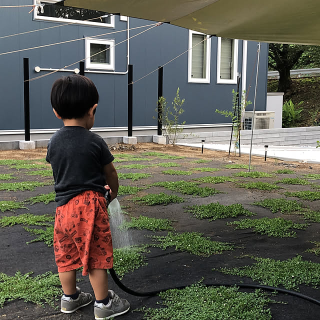 poa.t_hさんの実例写真