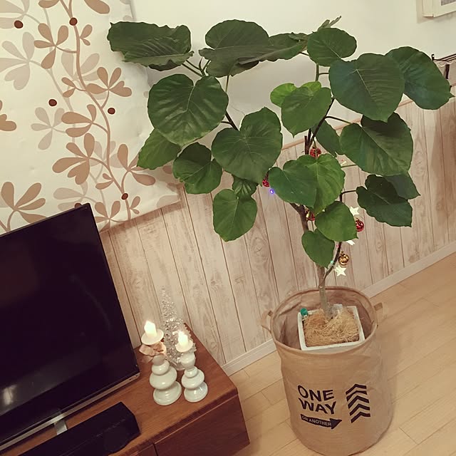 tomoさんの実例写真