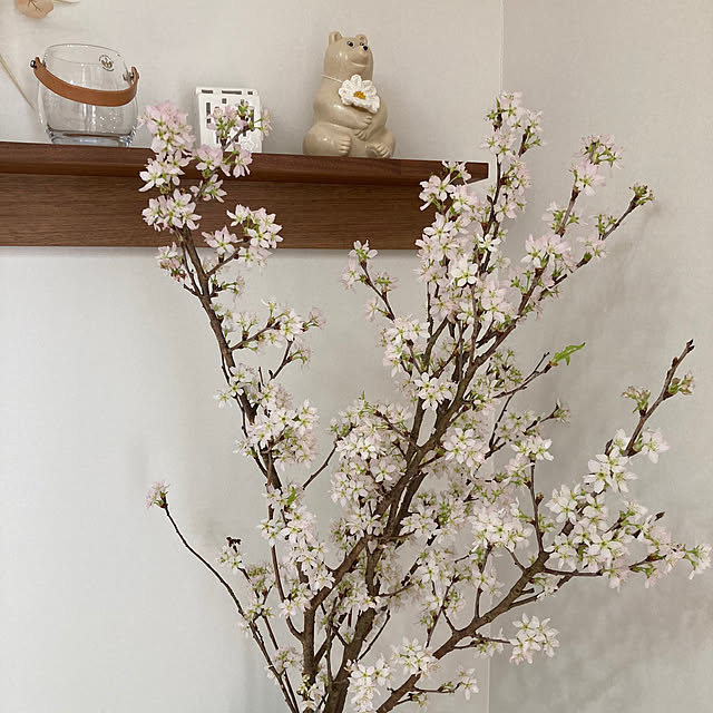 Yasunaさんの部屋