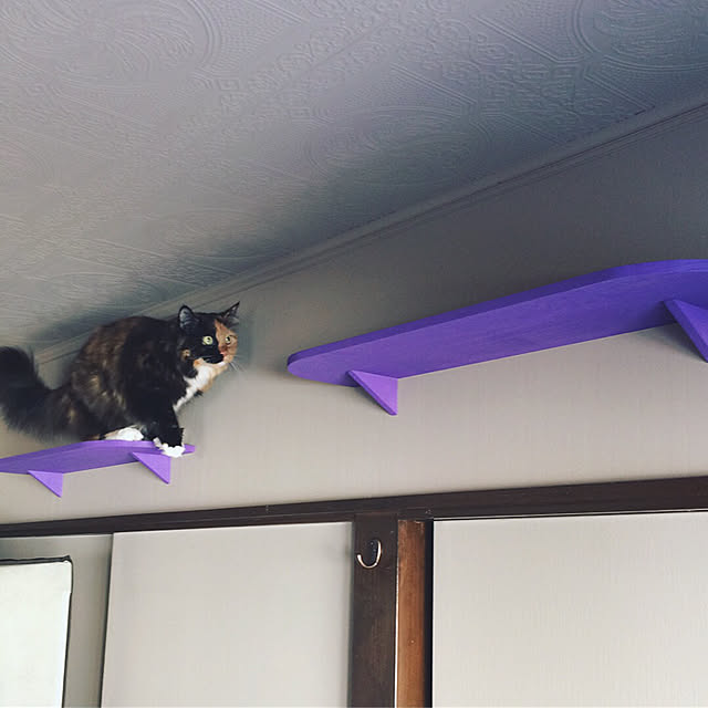 nekobusさんの実例写真
