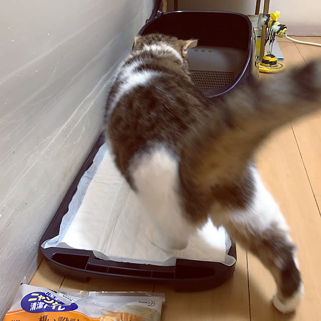yuuさんの実例写真
