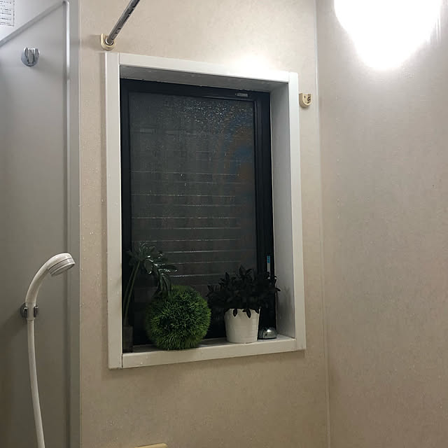 Shigeyukiさんの実例写真