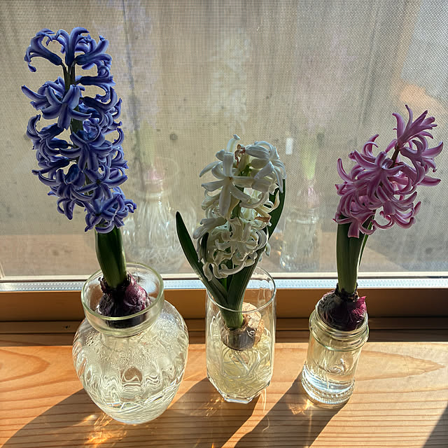 ue-51さんの実例写真