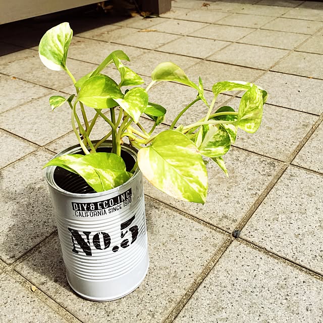 SAKURAさんの実例写真