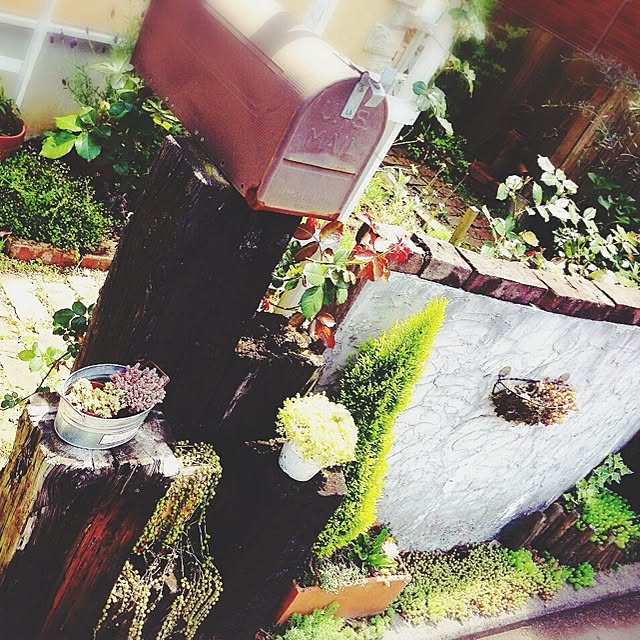 banbiさんの実例写真
