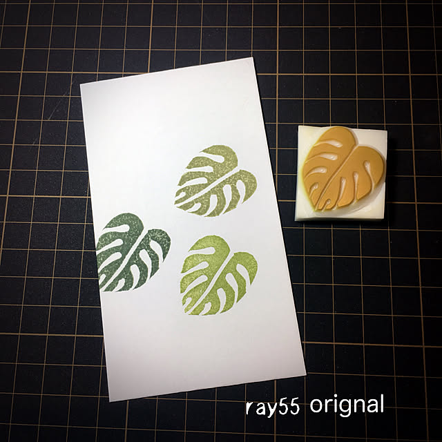 ray55さんの実例写真