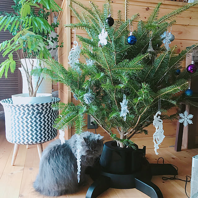 Marieさんの実例写真