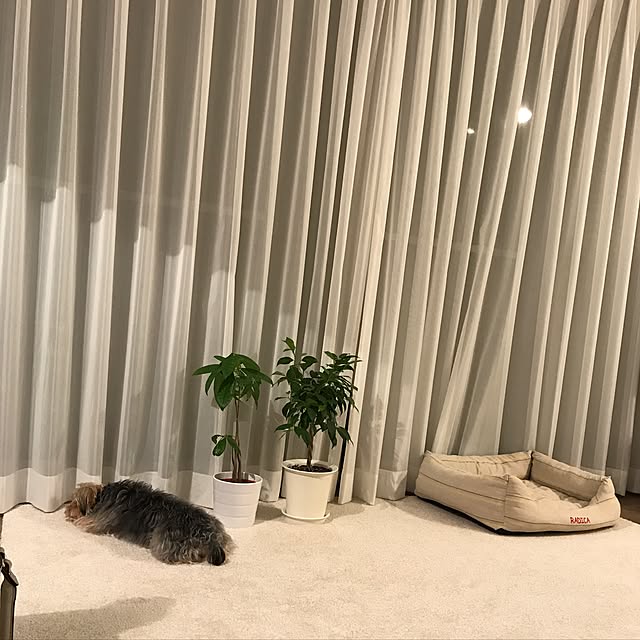 risayoshiさんの実例写真