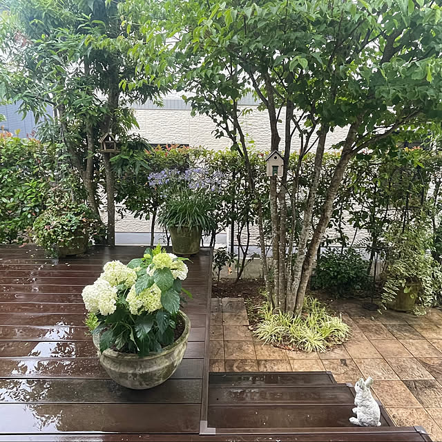 Yumiさんの実例写真