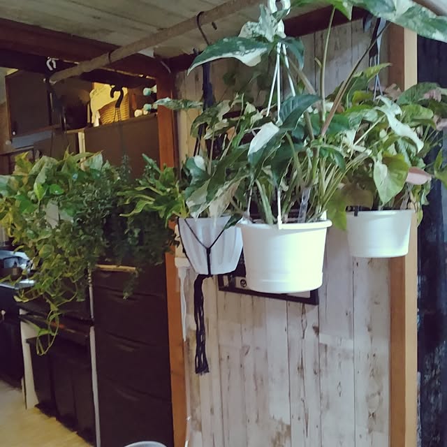 runaさんの部屋