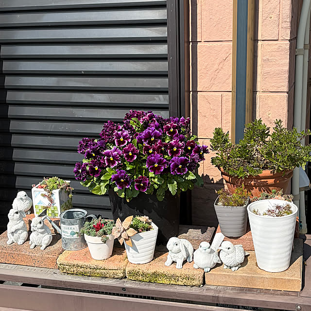 ritsukoさんの実例写真