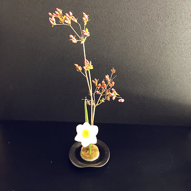 saran0208さんの実例写真