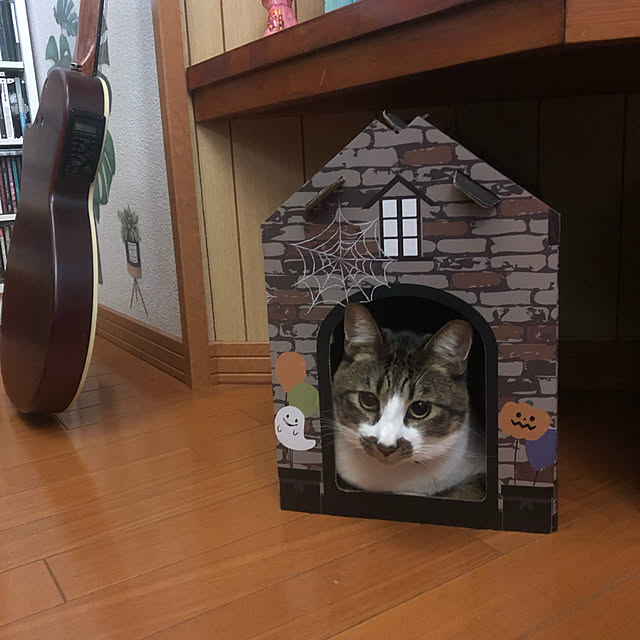 jijiさんの実例写真
