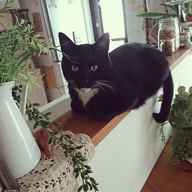 tetoさんの実例写真