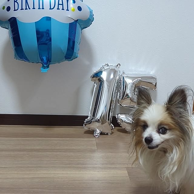 buddykoさんの部屋