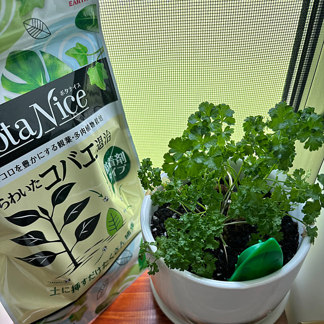 nachiさんの部屋
