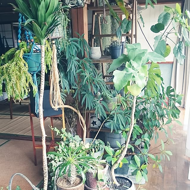 takenさんの実例写真