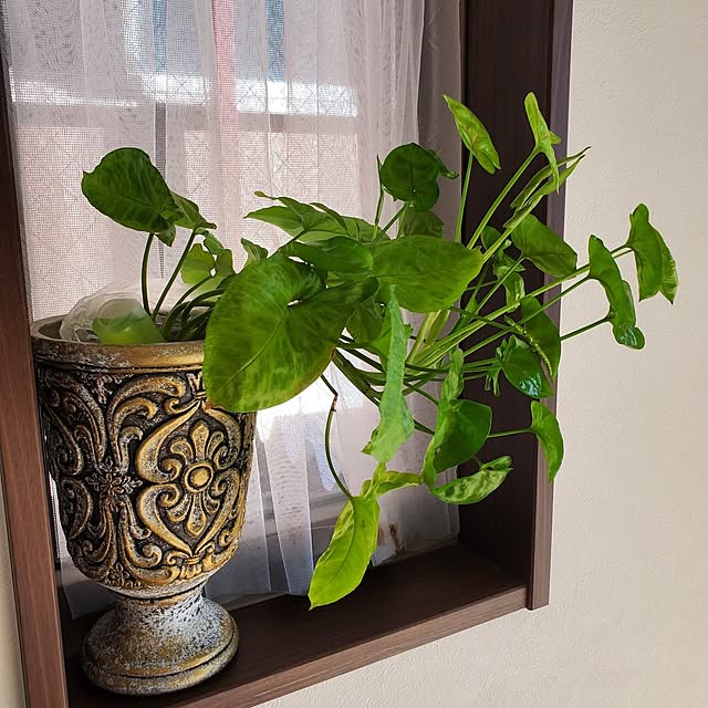 muku+maroさんの部屋