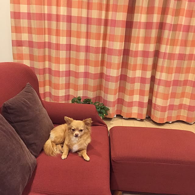 c.kさんの実例写真