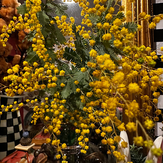 okyame-chanさんの部屋