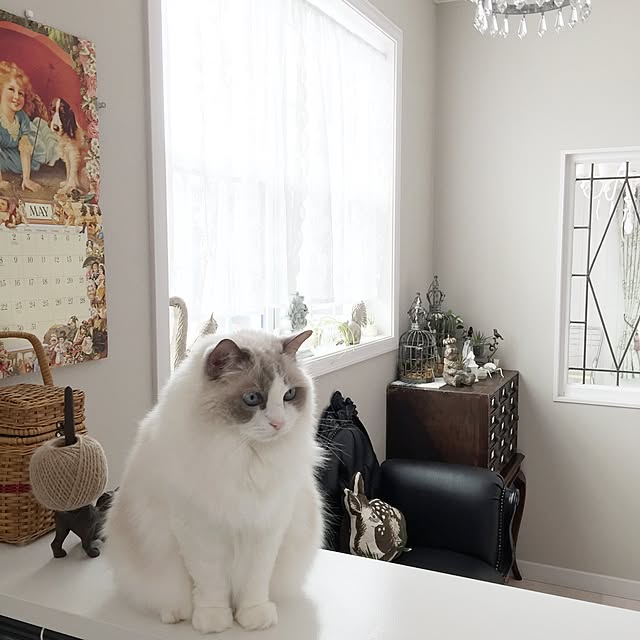 yuchiさんの実例写真