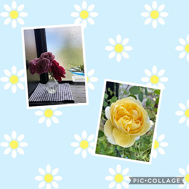 mimoza.さんの実例写真