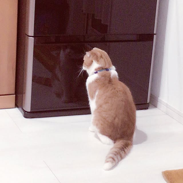 hitoさんの実例写真