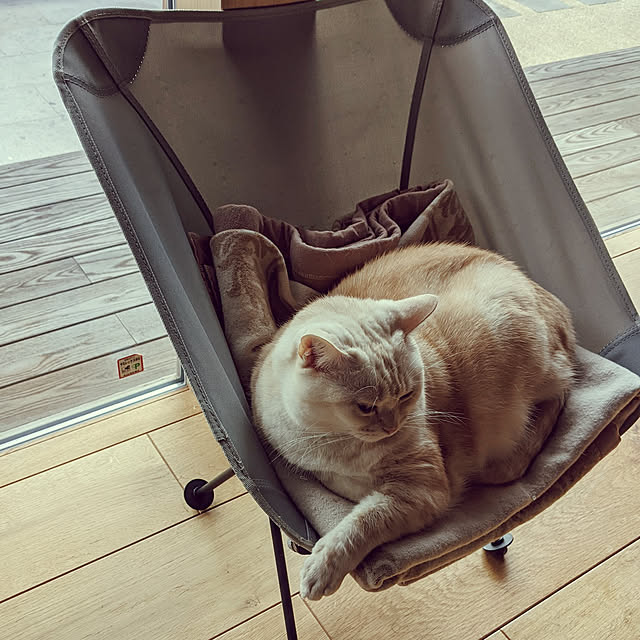 nyanzaurusさんの実例写真