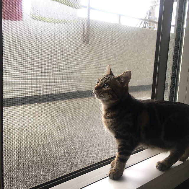 mito0908さんの実例写真