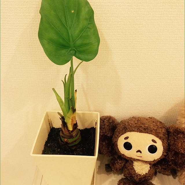 i-chanさんの実例写真
