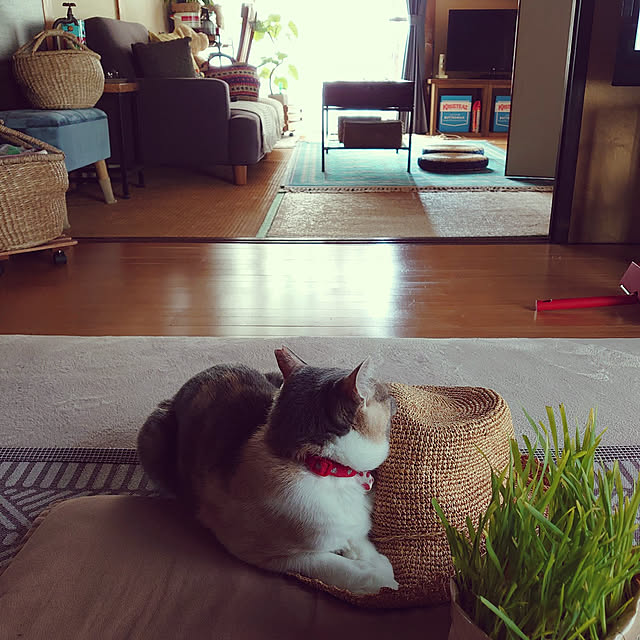 fukuさんの実例写真