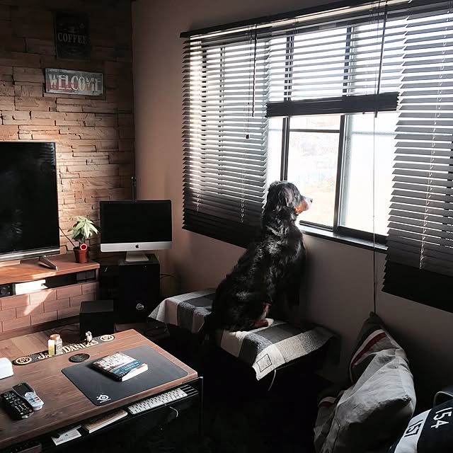 maruさんの実例写真
