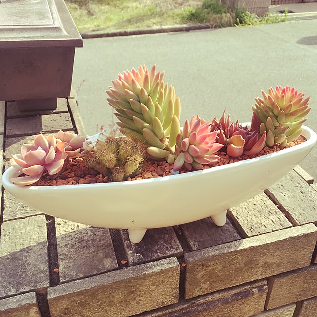 実例写真