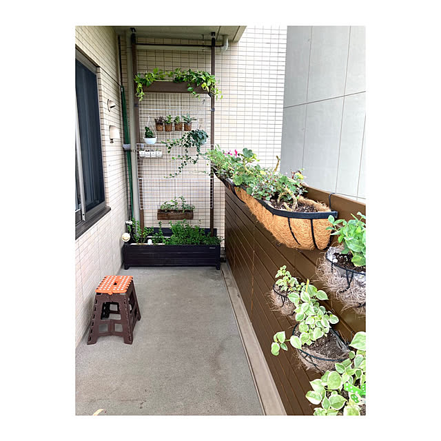 marukoさんの部屋