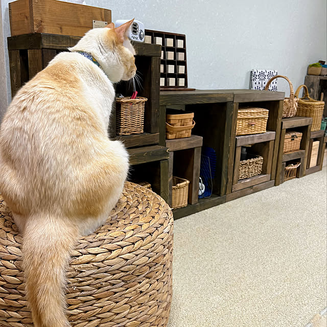 mohhaさんの実例写真