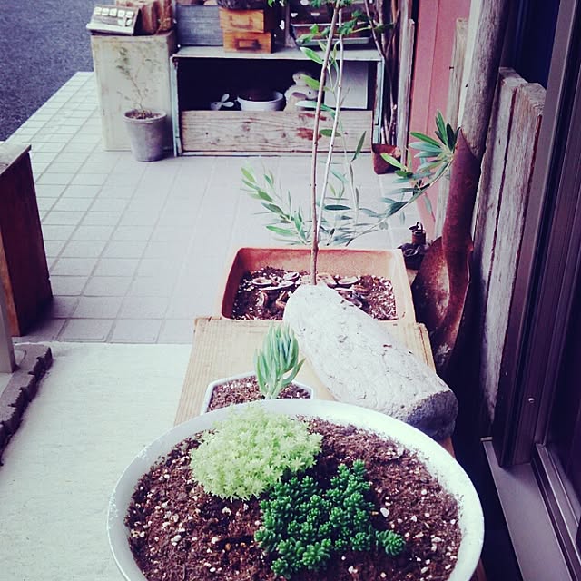 oriさんの実例写真