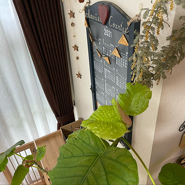 Akiさんの実例写真