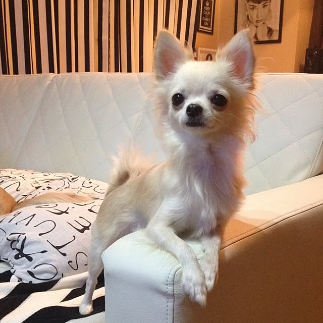 honeyさんの実例写真