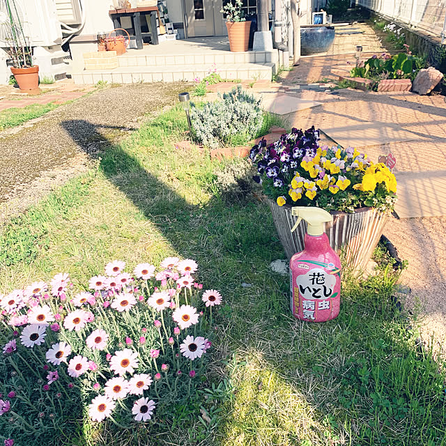 cyaroさんの実例写真
