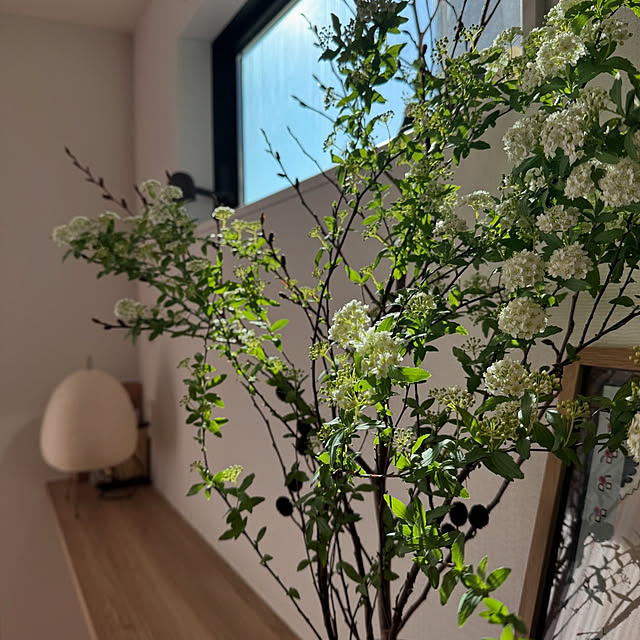 masuhome20さんの部屋