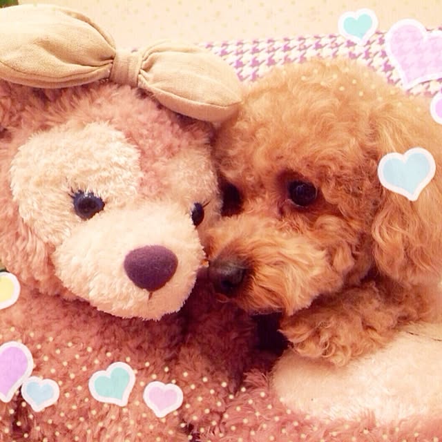 HappyRoseさんの実例写真