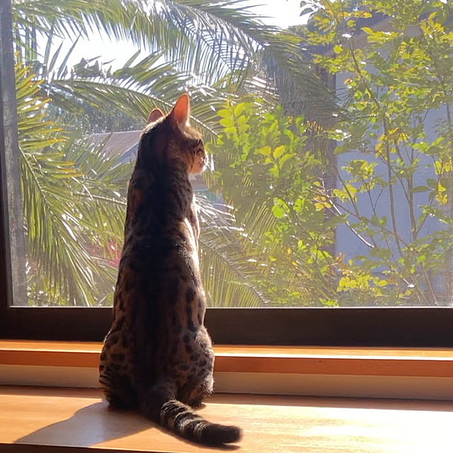 kabu10さんの実例写真