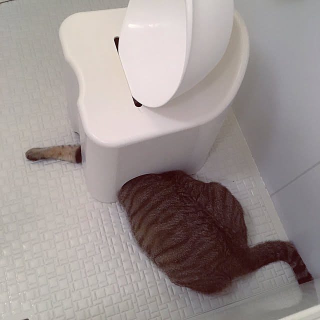 mikomaruさんの実例写真