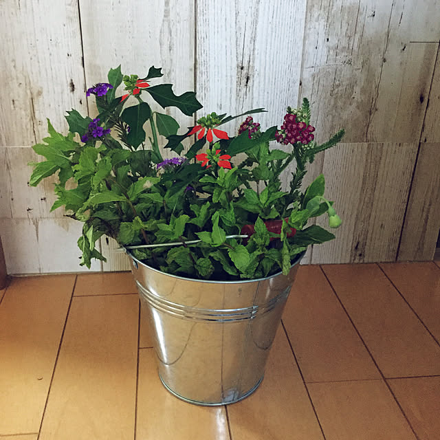 tudukiさんの実例写真